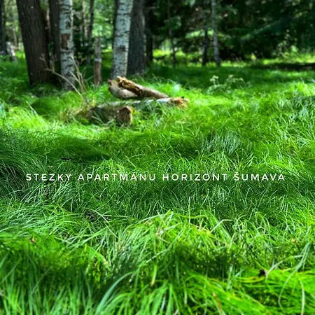 Horizont Sumava * Humwald