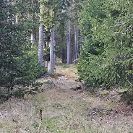 Horizont Sumava *