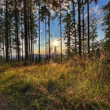 Horizont Sumava Appartamento