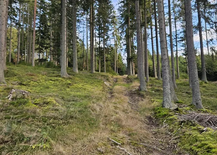 Horizont Sumava Apartman *