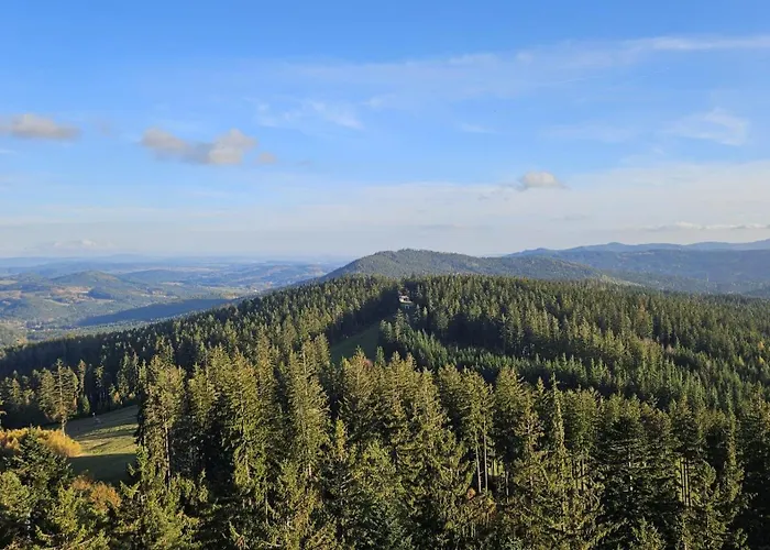 Apartman Horizont Sumava Humwald