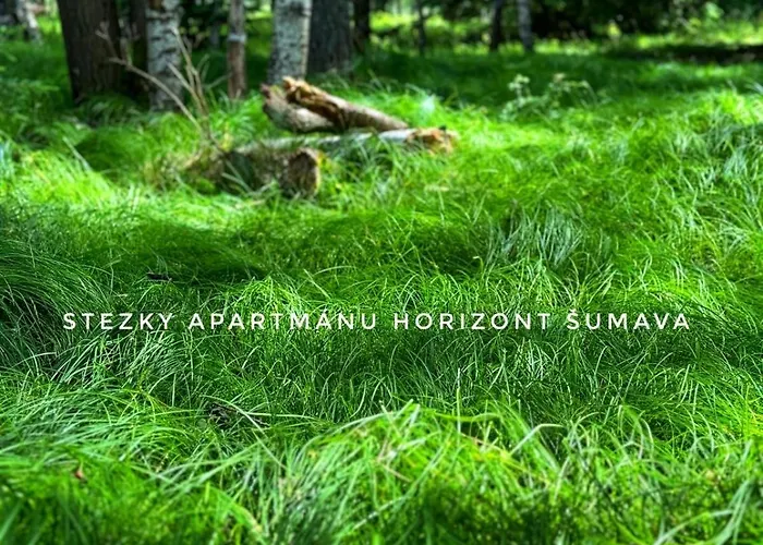Horizont Sumava * Humwald