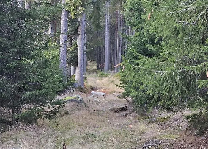 Horizont Sumava *