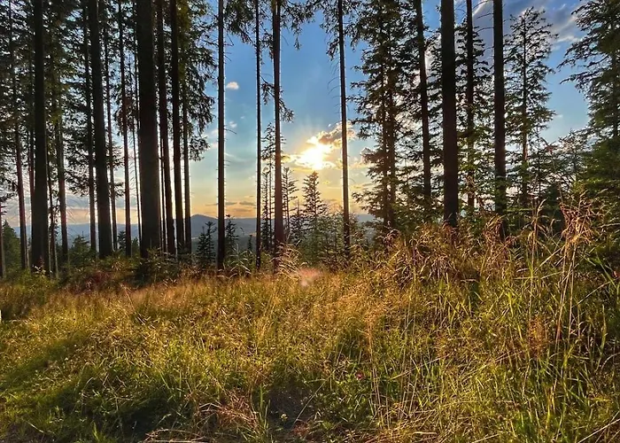 Horizont Sumava Apartman